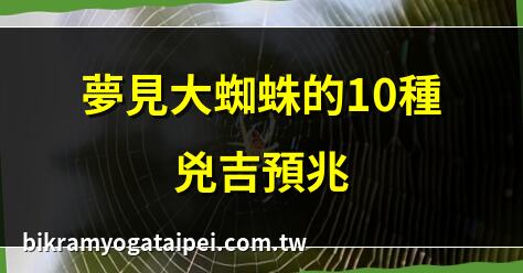 夢見大蜘蛛的10種兇吉預兆 | 大蜘蛛夢境解析：財運還是厄運？ | 夢見大蜘蛛？5種深層心理暗示 | 解夢：夢見大蜘蛛代表什麼？
