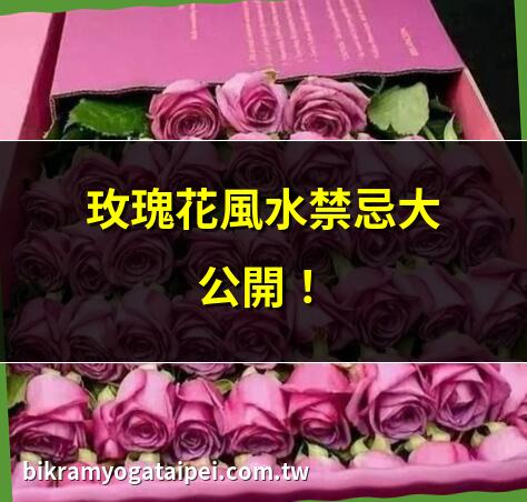 玫瑰花風水禁忌大公開！ | 家中擺玫瑰花招爛桃花？ | 玫瑰花放哪最旺財運？ | 2025玫瑰花風水擺設指南
