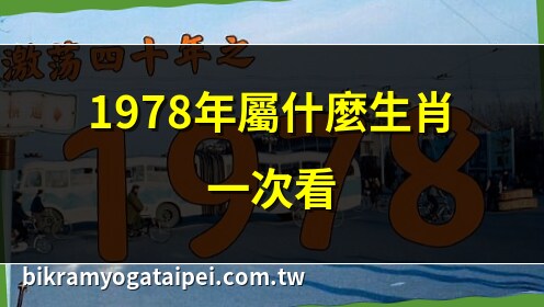 1978年属