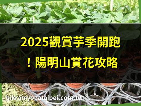 2025觀賞芋季開跑！陽明山賞花攻略 | 觀賞芋品種大公開！12種必看彩葉芋 | 桃園觀賞芋季花海！接駁車資訊全掌握 | 2025觀賞芋季必拍！陽明山打卡景點